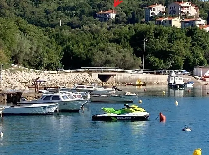 Vedran