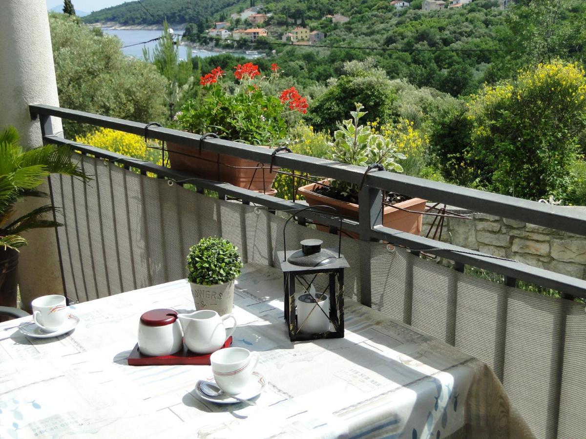 Vedran Apartment Labin (Istria)