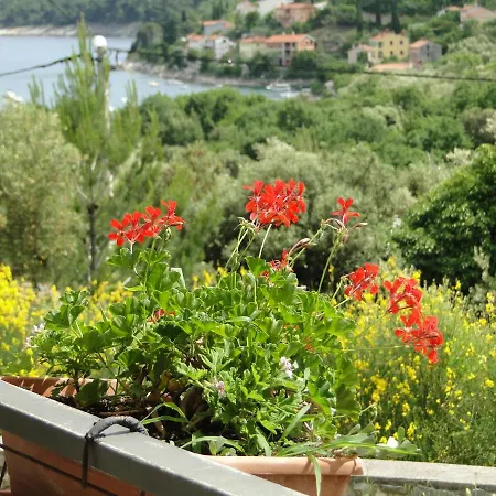 Ferienwohnung Vedran Labin  Exterior foto